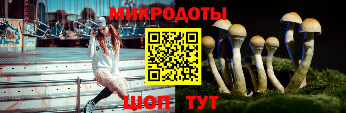 Галлюциногенные грибы мухоморы Новоалтайск