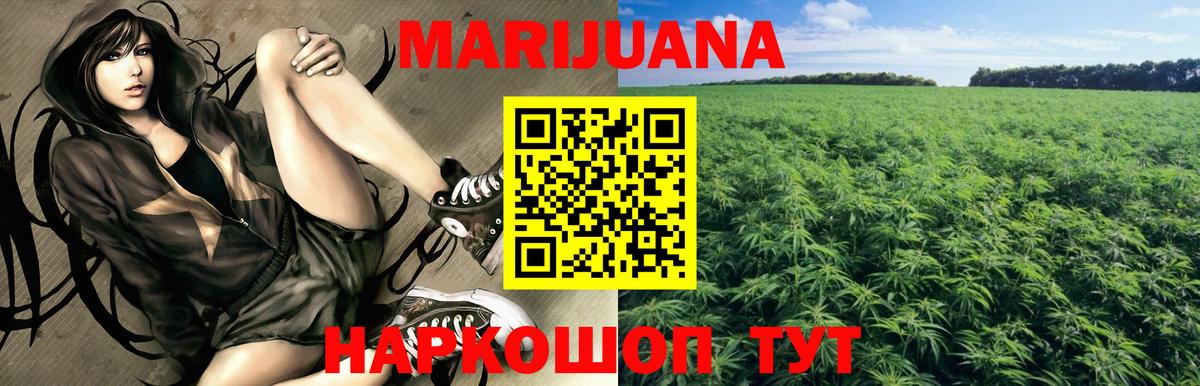 Бошки марихуана сатива  Шишки марихуана SATIVA & INDICA  Новоалтайск  Конопля OG Kush  Вход с VPN  МАРИХУАНА ГИДРОПОН 